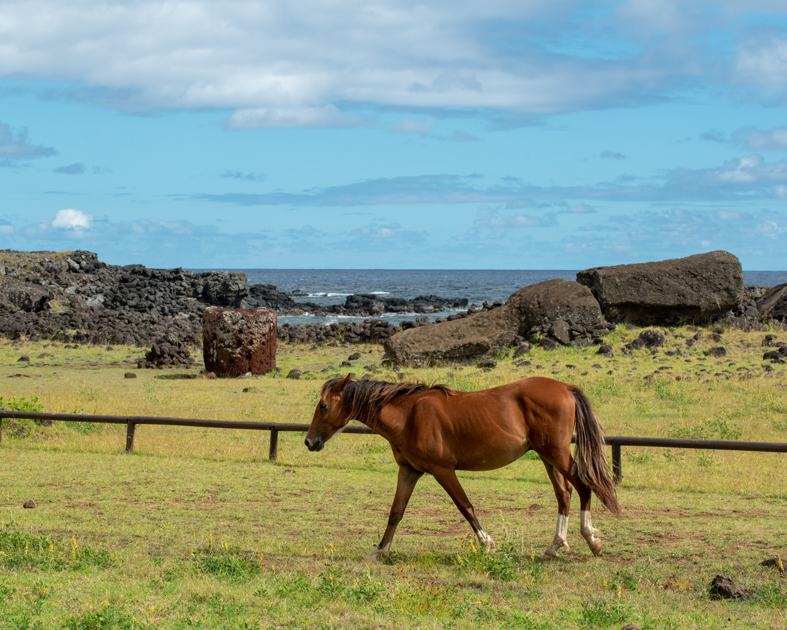 Chile Easter Island-6